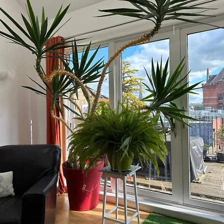 Apartment Stunning City Centre 4 Bedroom Penthouse - 2 Car Parking Spaces *